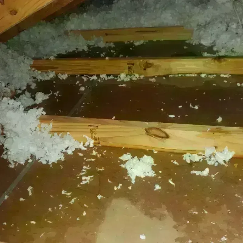 Attic Water Damage in Pope County, IL